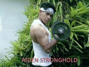 AIDEN_STRONGHOLD