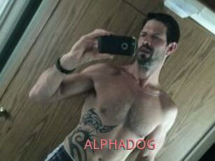 ALPHADOG