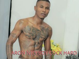 ARON_NICEBOY_COCK_HARD