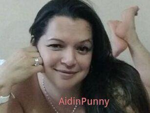 AidinPunny