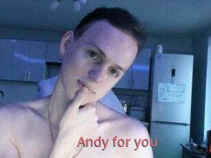 Andy_for_you