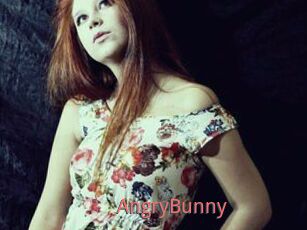 AngryBunny