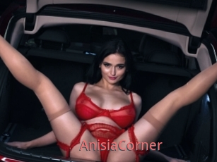AnisiaCorner
