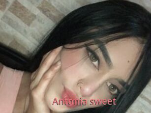 Antonia_sweet