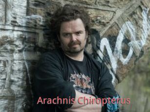 Arachnis_Chiropterus