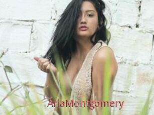 AriaMontgomery