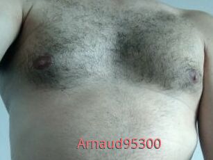 Arnaud95300