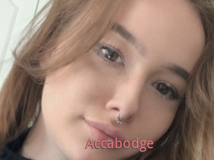 Accabodge