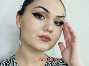 Accagise