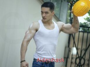 Aidenhask