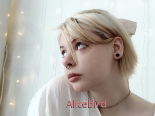 Alicebird