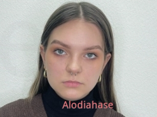 Alodiahase