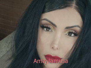 Amaylamusa