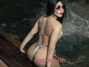 Amberbush