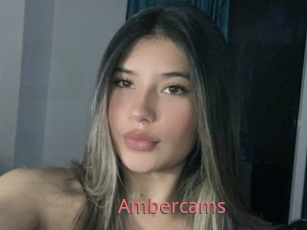 Ambercams
