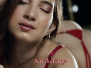Amelialodge