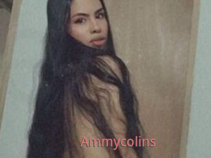 Ammycolins