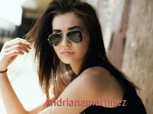 Andrianamartinez
