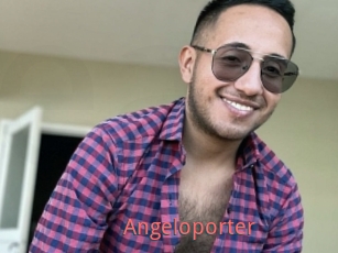 Angeloporter