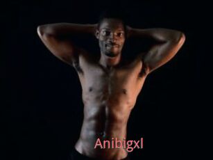 Anibigxl