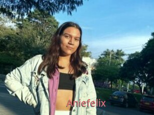 Aniefelix
