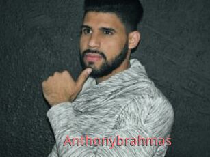 Anthonybrahmas