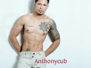 Anthonycub