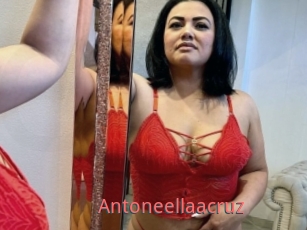 Antoneellaacruz