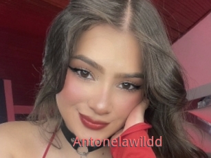 Antonelawildd