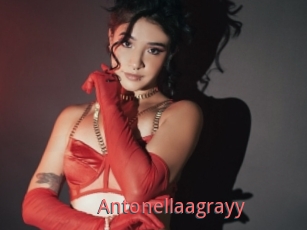 Antonellaagrayy