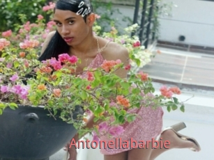 Antonellabarbie