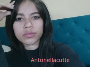 Antonellacutte