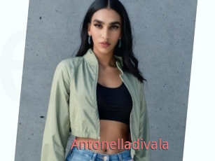 Antonelladivala