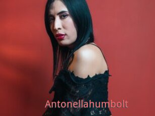 Antonellahumbolt
