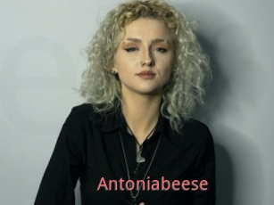 Antoniabeese