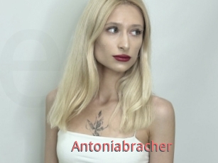Antoniabracher