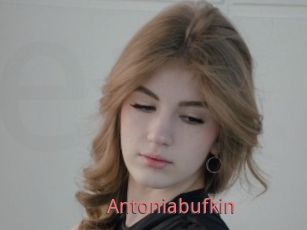Antoniabufkin