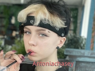 Antoniachasey