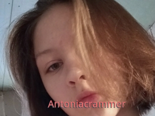 Antoniacrammer