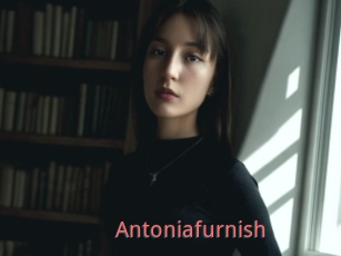Antoniafurnish