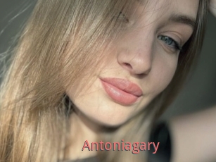 Antoniagary