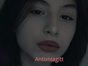 Antoniagitt