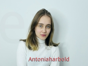 Antoniaharbold