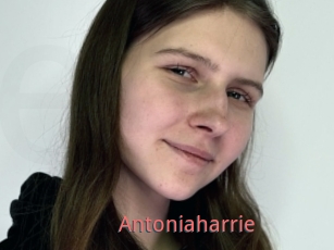 Antoniaharrie