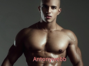 Antonywebb