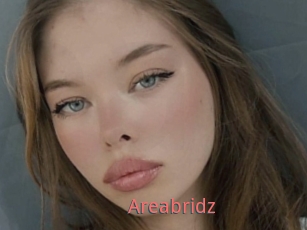Areabridz
