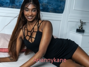 Ariannykane