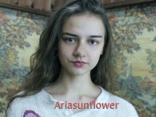Ariasunflower