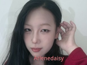 Arlenedaisy