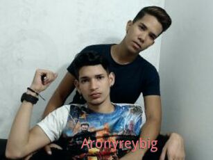 Aronyreybig